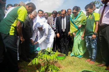 Support for the environment is necessary for a healthier and more peaceful world